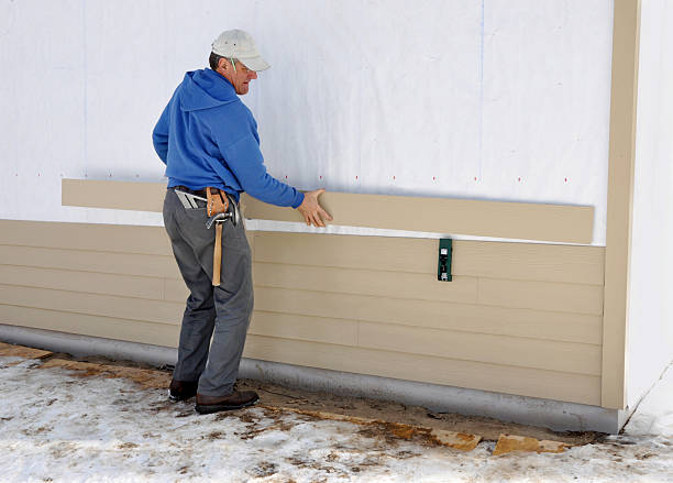 Best Brick Veneer Siding  in Trion, GA